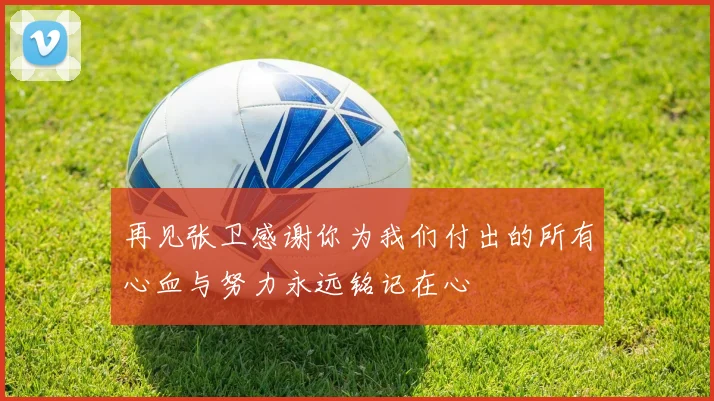 再见张卫感谢你为我们付出的所有心血与努力永远铭记在心