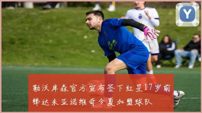 勒沃库森官方宣布签下红星17岁前锋达米亚诺维奇今夏加盟球队
