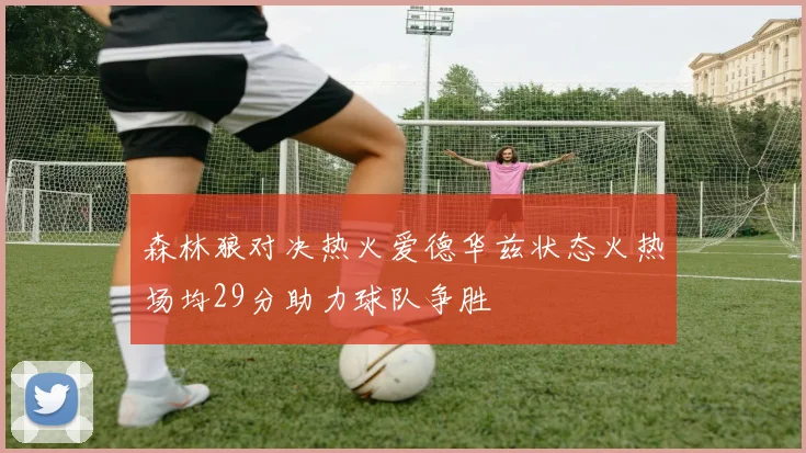森林狼对决热火爱德华兹状态火热场均29分助力球队争胜